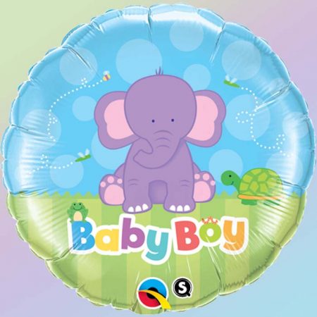 18 Baby Boy Elephant