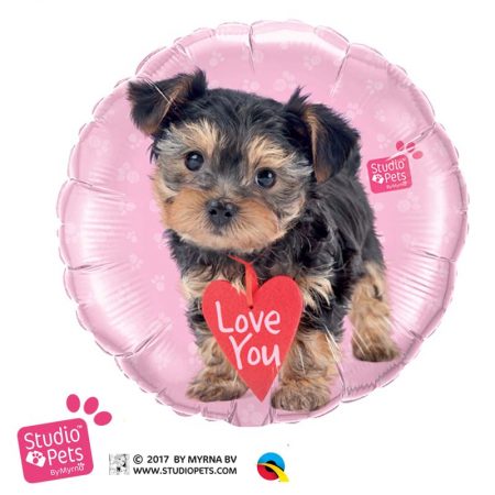 M18" 55232 Studio Pets - Love You Terrier *1b