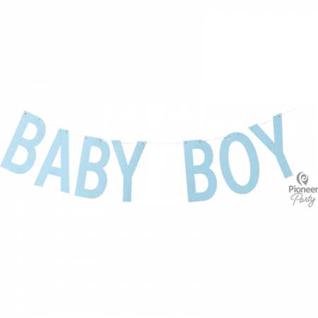 Banner Baby Boy Blue